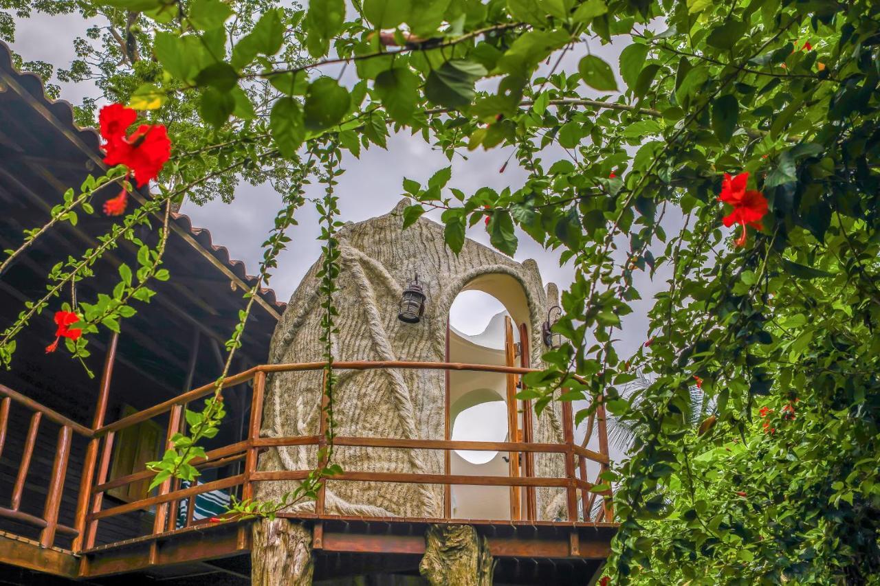 Casa Contiki Villa Cabo Matapalo Ngoại thất bức ảnh